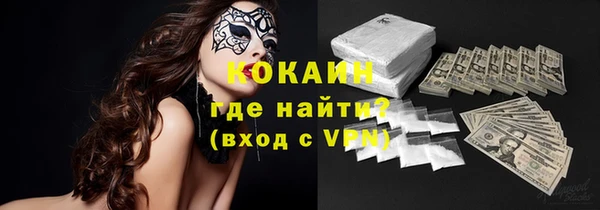 дмт Богданович