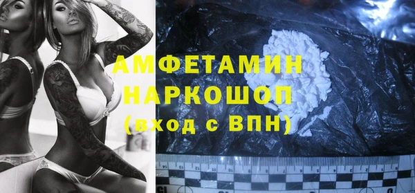 дмт Богданович