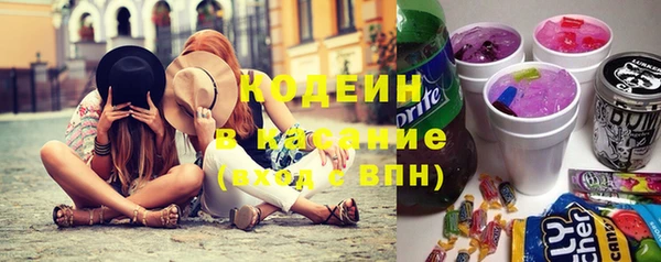 хмурый Богородицк
