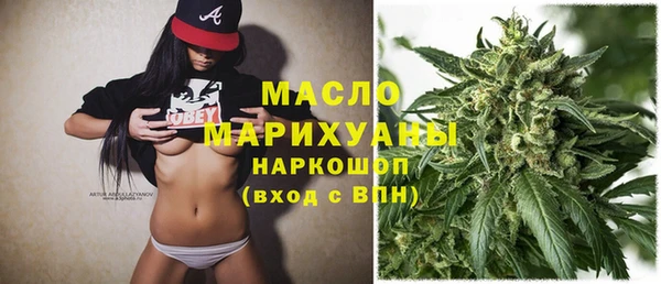 стаф Бородино