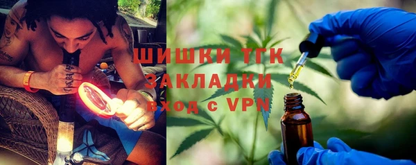 хмурый Богородицк