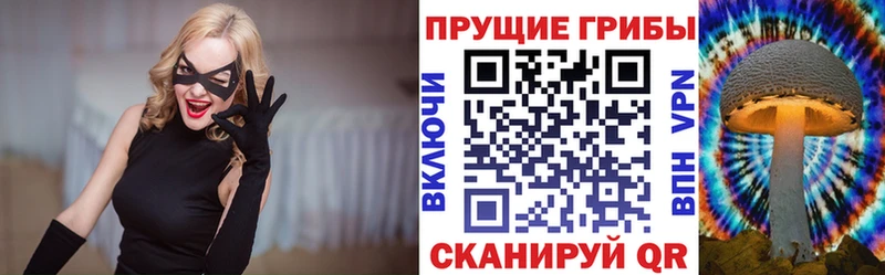 Псилоцибиновые грибы мицелий  купить  сайты  Мыски 